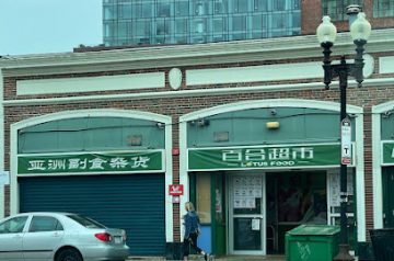 New Ming Inc  MA