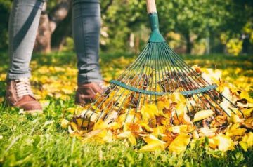 Pinay Cleaning Services  IL